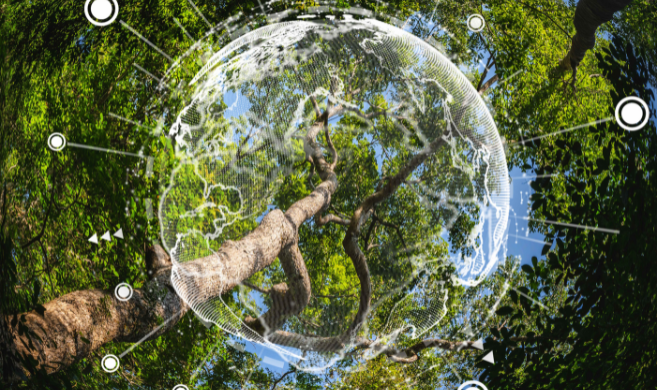 Greenleaf123_iStock_Earth Day eco concept with rainforest background_cover