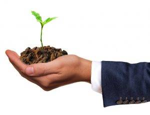 hands holding sprouting plants